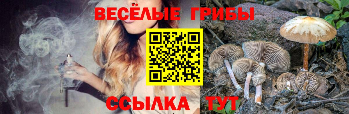 Галлюциногенные грибы MAGIC MUSHROOMS Моздок